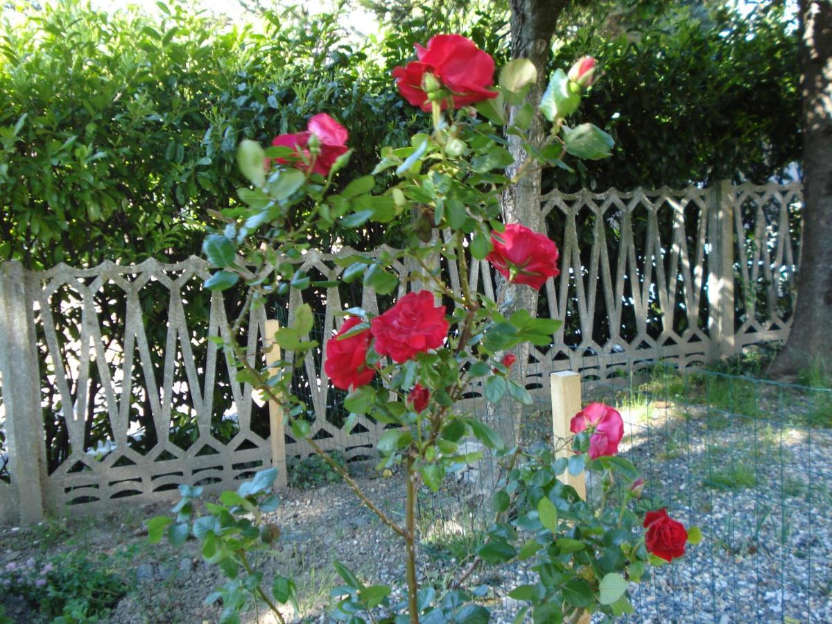 Casa T Bed And Breakfast & Home Restaurant Di Tacchino Simone Tagliolo Monferrato エクステリア 写真