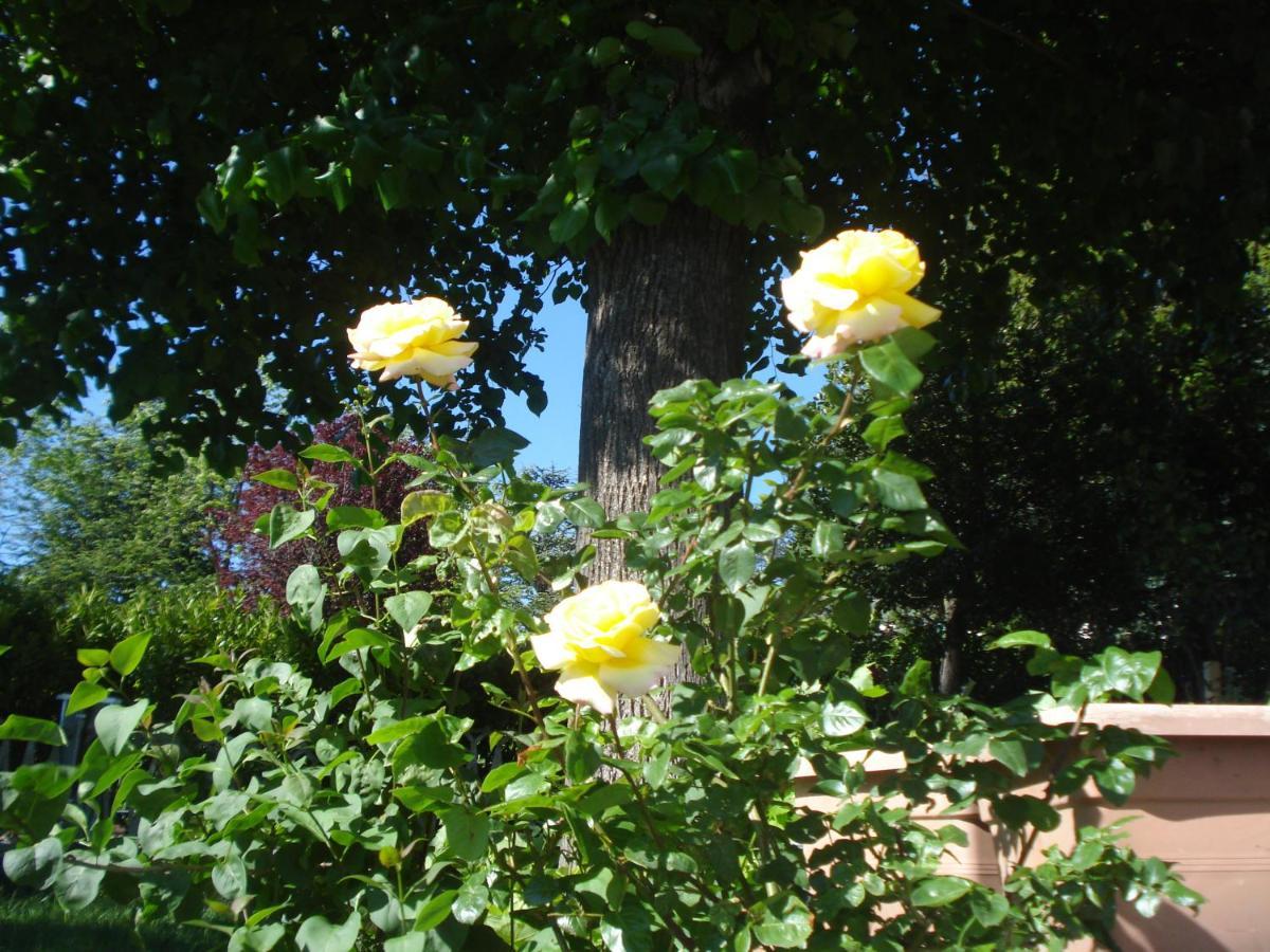 Casa T Bed And Breakfast & Home Restaurant Di Tacchino Simone Tagliolo Monferrato エクステリア 写真