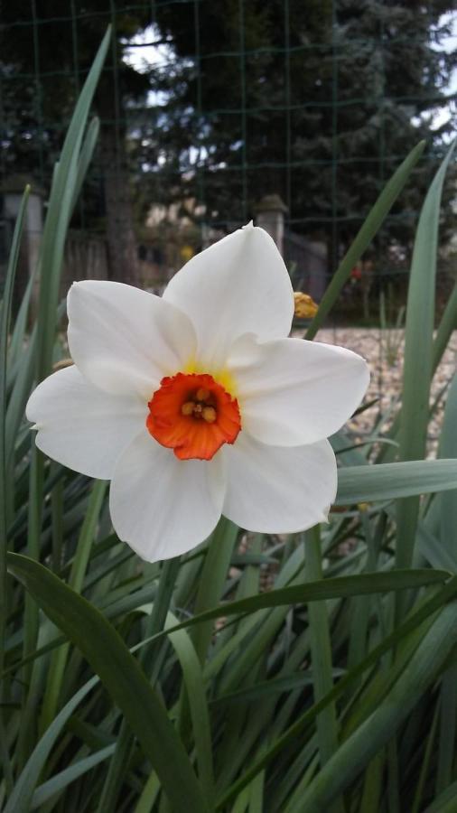Casa T Bed And Breakfast & Home Restaurant Di Tacchino Simone Tagliolo Monferrato エクステリア 写真