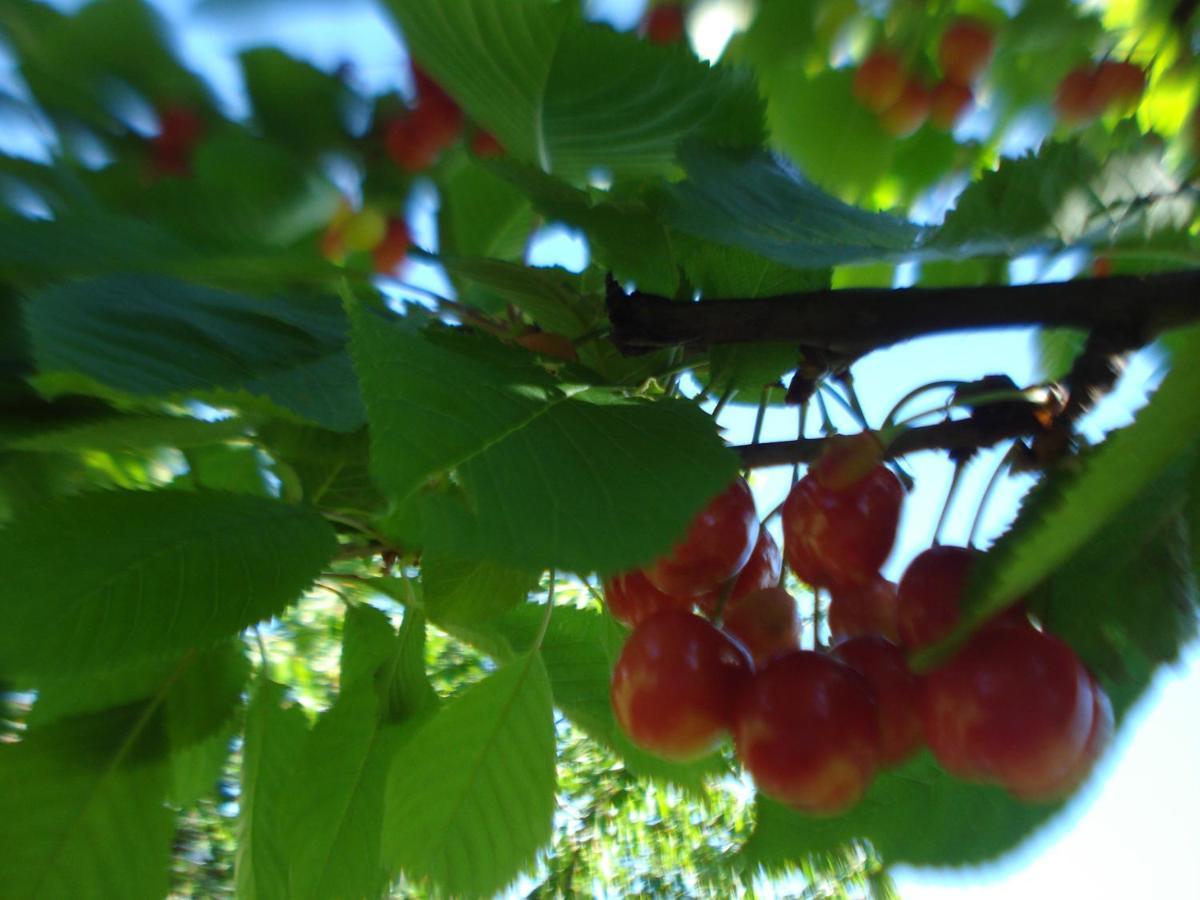Casa T Bed And Breakfast & Home Restaurant Di Tacchino Simone Tagliolo Monferrato エクステリア 写真