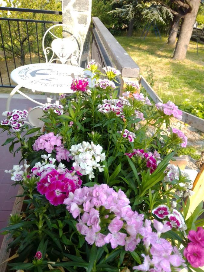 Casa T Bed And Breakfast & Home Restaurant Di Tacchino Simone Tagliolo Monferrato エクステリア 写真