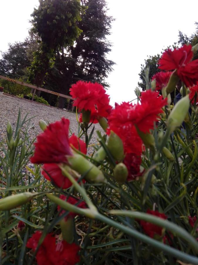 Casa T Bed And Breakfast & Home Restaurant Di Tacchino Simone Tagliolo Monferrato エクステリア 写真